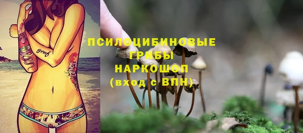 молекула духа Богородицк