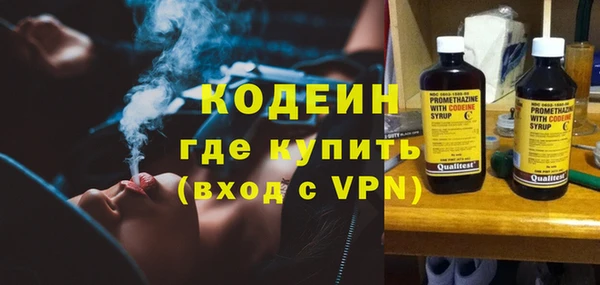 молекула духа Богородицк