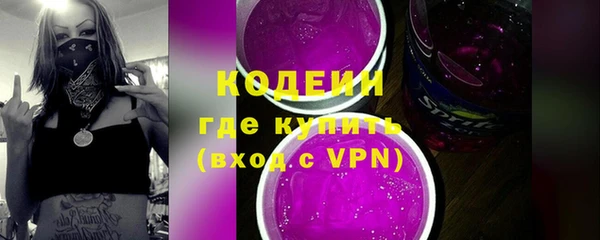 молекула духа Богородицк