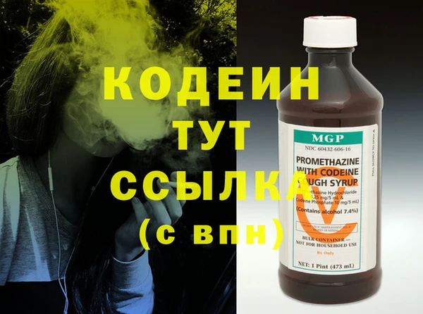 молекула духа Богородицк