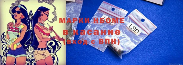 молекула духа Богородицк