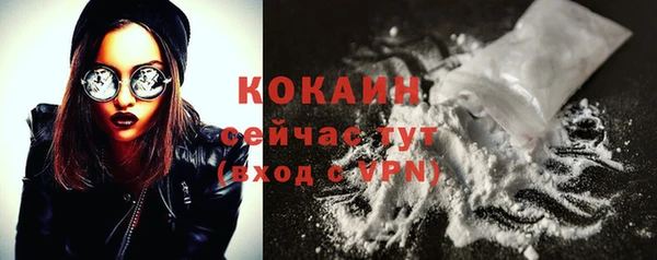 молекула духа Богородицк