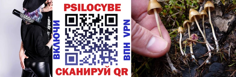 где купить наркоту  Костерёво  Псилоцибиновые грибы Psilocybine cubensis 
